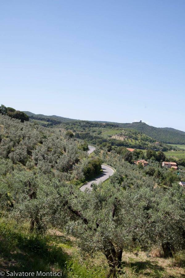 Acacia casetta con giardino Donoratico Esterno foto