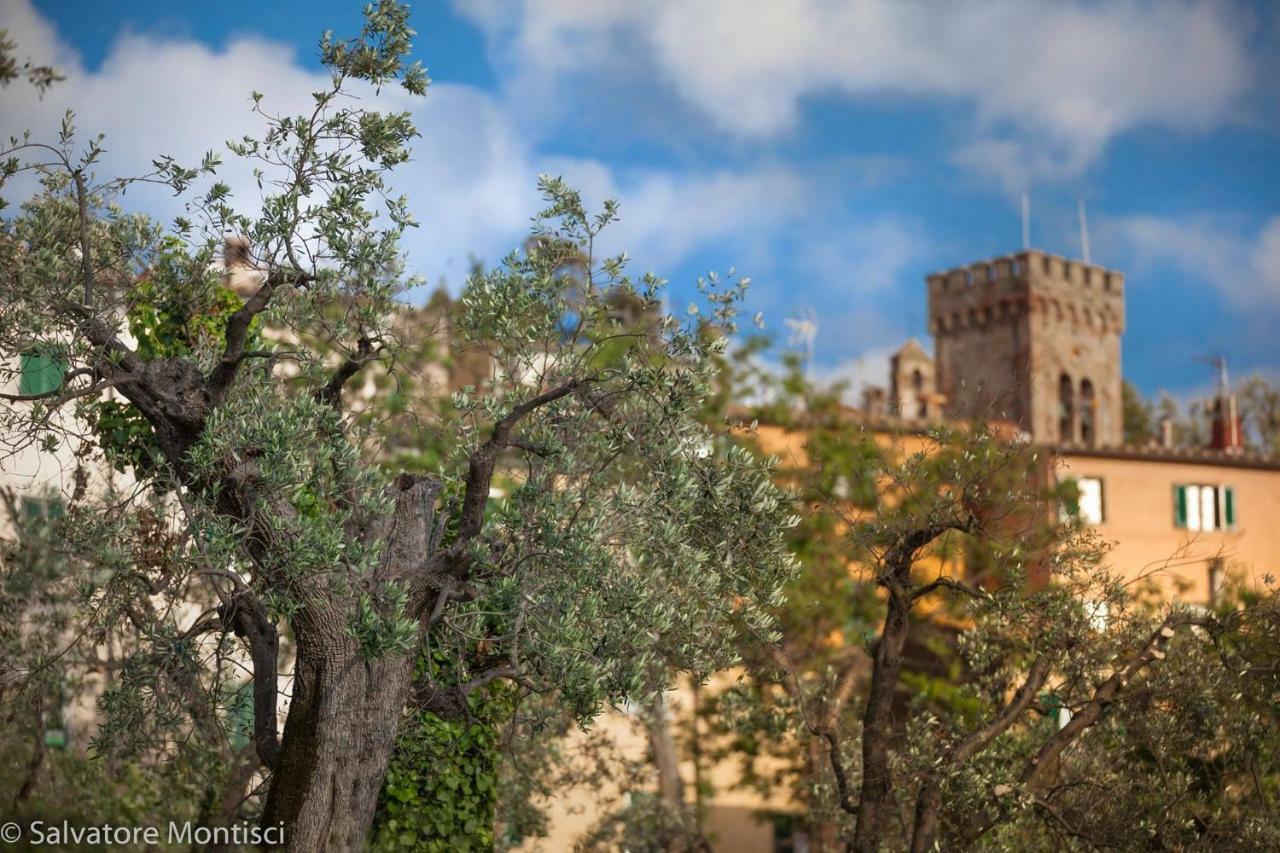 Acacia casetta con giardino Donoratico Esterno foto